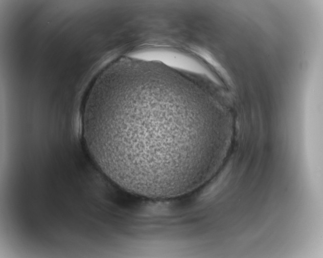 X0000089751221200707051809