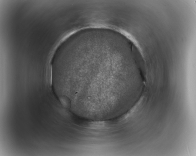 X0000089751223200707051809