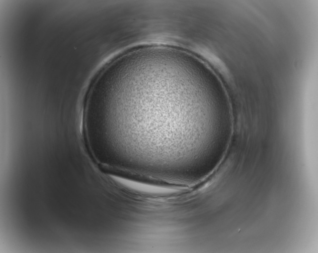 X0000089751224200707051809