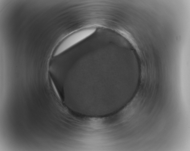 X0000089751226200707051809