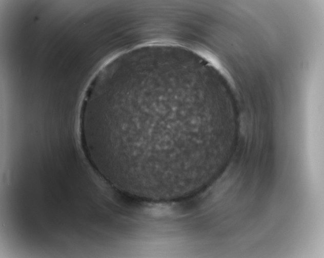 X0000089751229200707051809