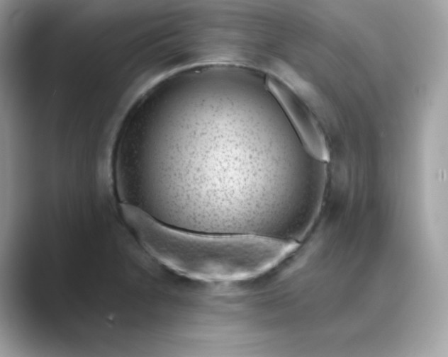 X0000089751230200707051809