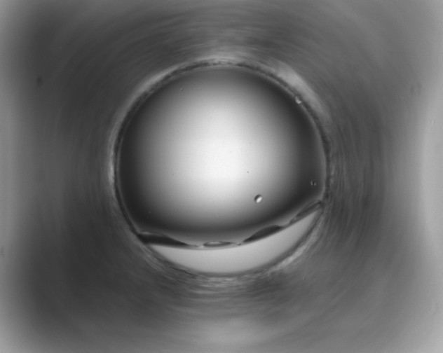 X0000089751232200707051809