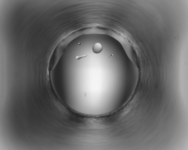 X0000089751234200707051809