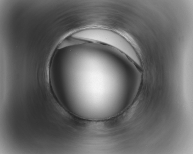 X0000089751238200707051809