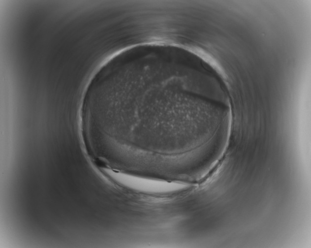 X0000089751239200707051809