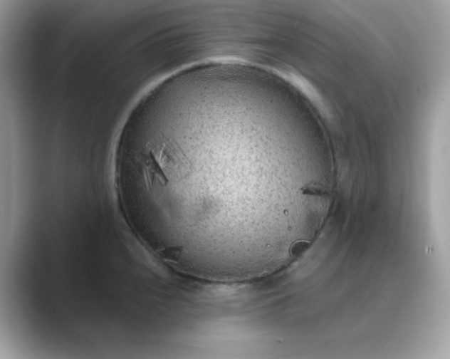 X0000089751240200707051809