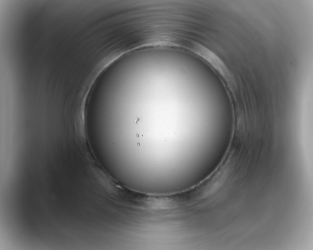 X0000089751242200707051809