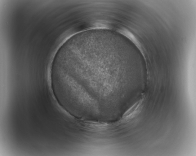 X0000089751243200707051809