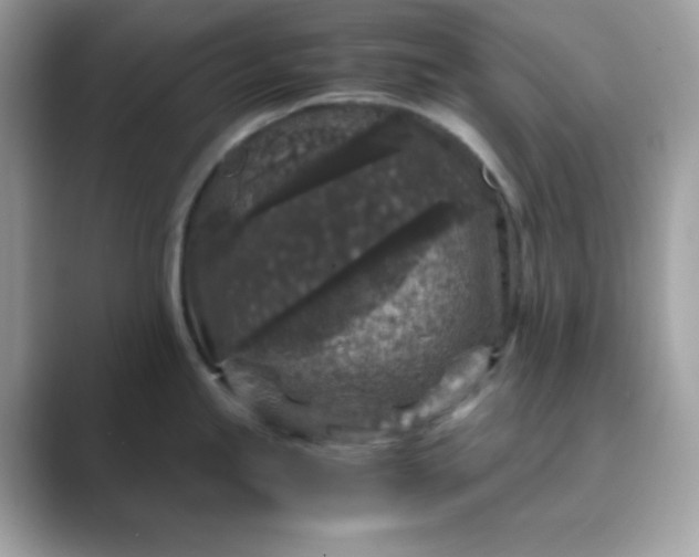 X0000089751245200707051809