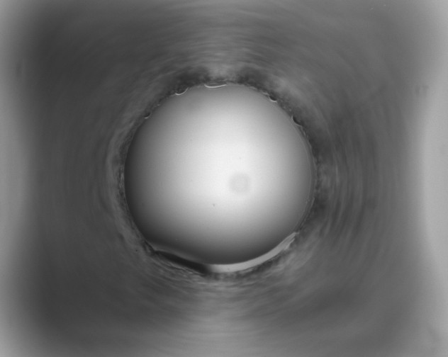 X0000089751249200707051809