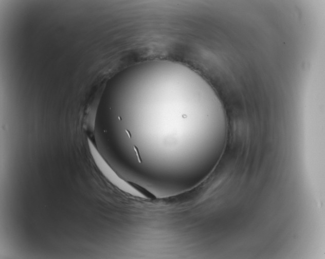 X0000089751250200707051809