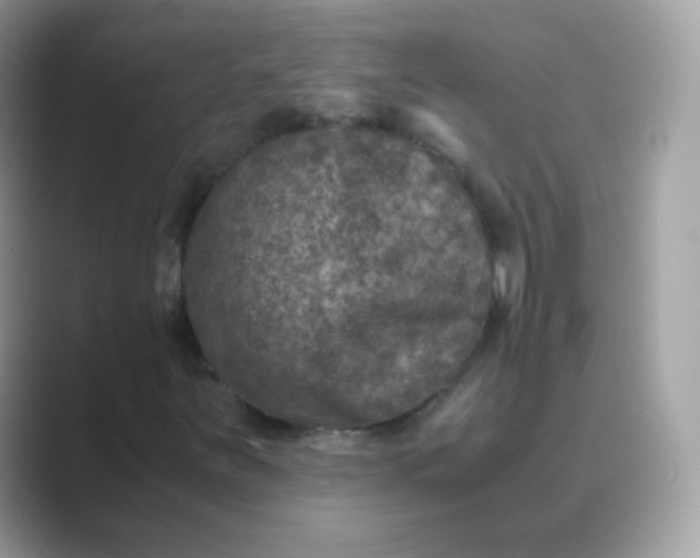 X0000089751251200707051809