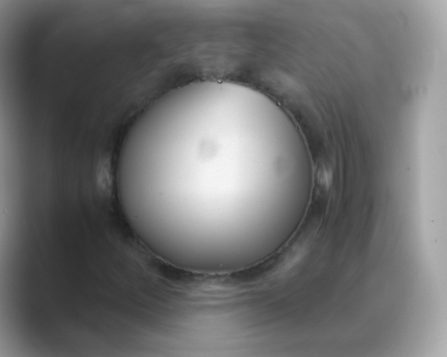 X0000089751252200707051809