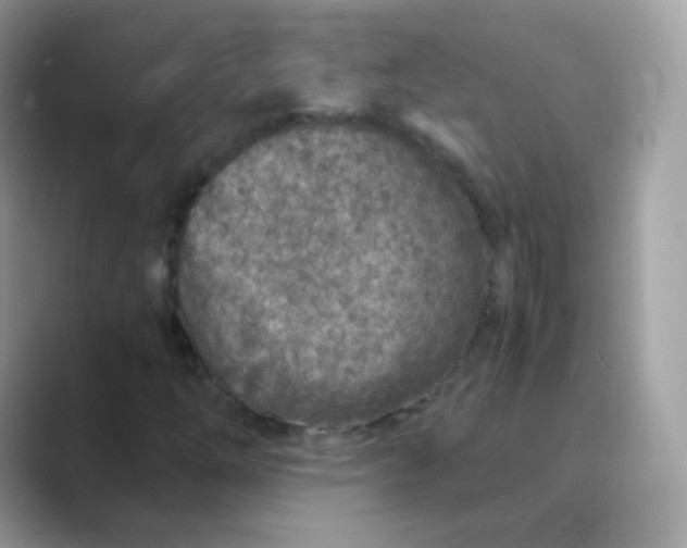 X0000089751254200707051809