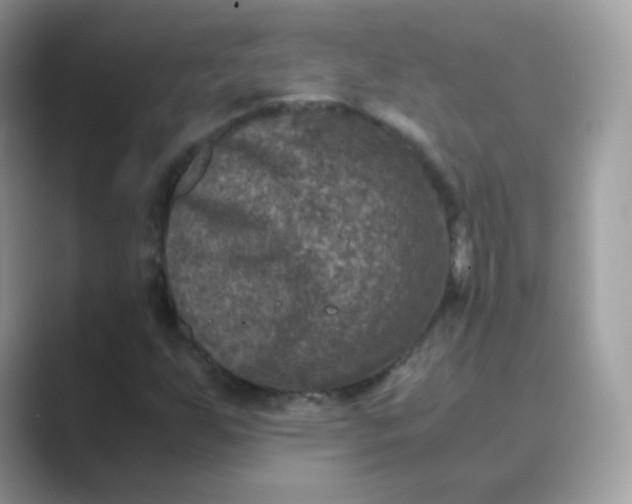 X0000089751255200707051809