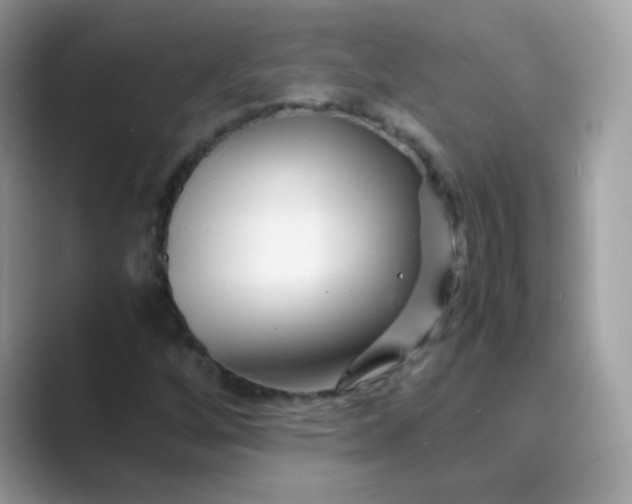 X0000089751256200707051809