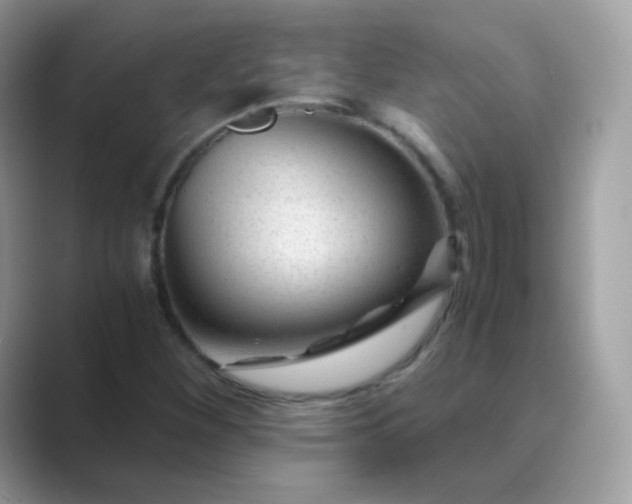 X0000089751260200707051809