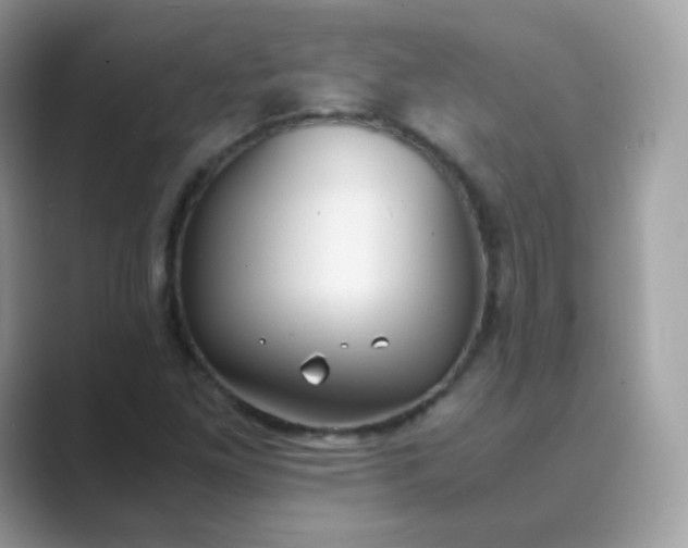 X0000089751261200707051809