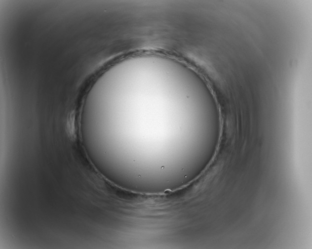 X0000089751262200707051809