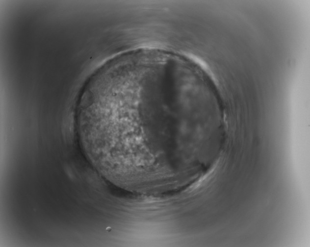 X0000089751263200707051809