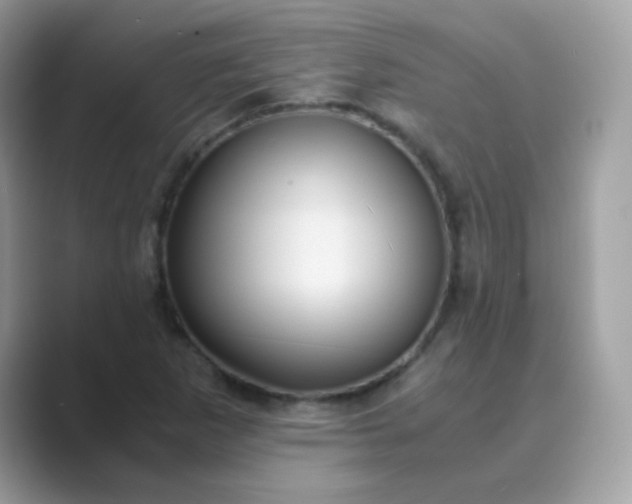 X0000089751265200707051809