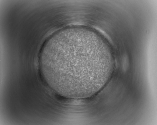 X0000089751266200707051809