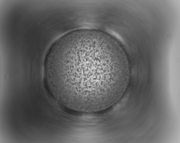 X0000089751267200707051809