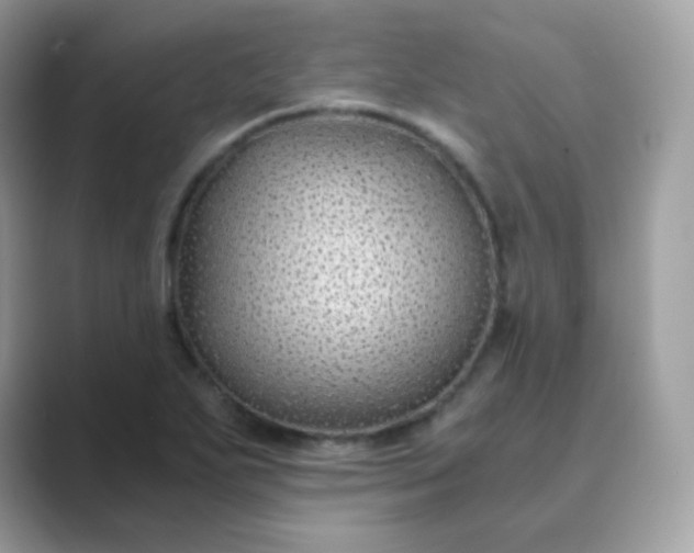 X0000089751271200707051808