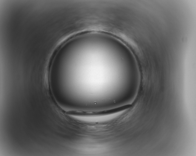 X0000089751272200707051808