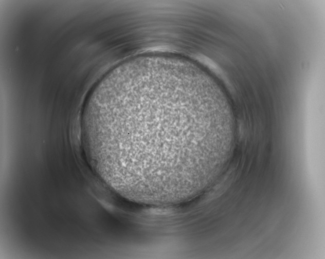 X0000089751274200707051808