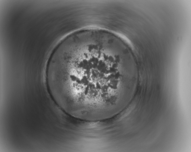 X0000089751279200707051808