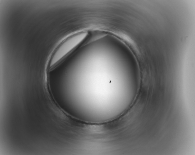 X0000089751280200707051808