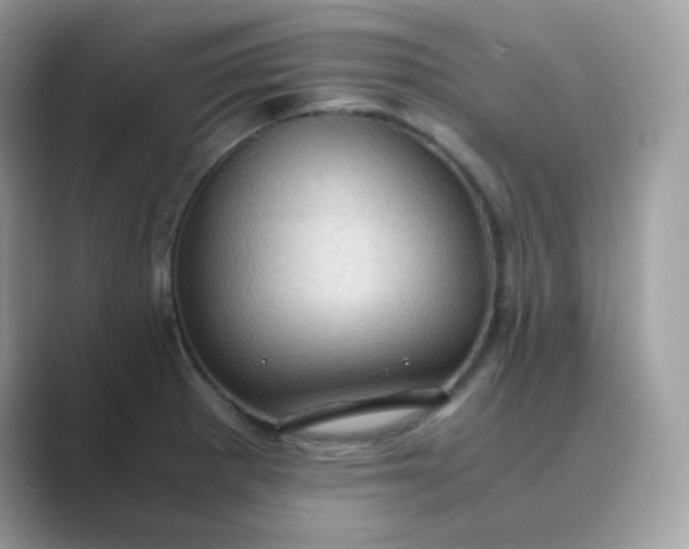 X0000089751281200707051808