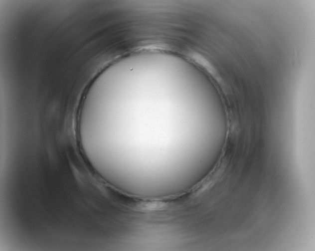 X0000089751282200707051808