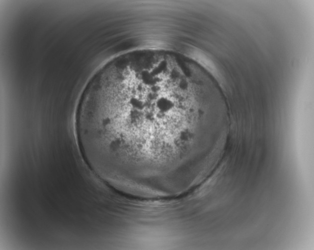 X0000089751283200707051808