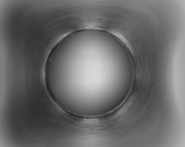 X0000089751285200707051808