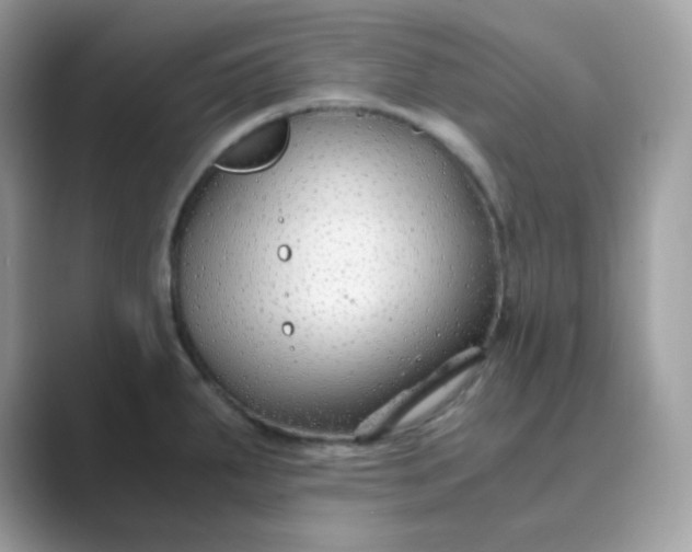 X0000089751287200707051808