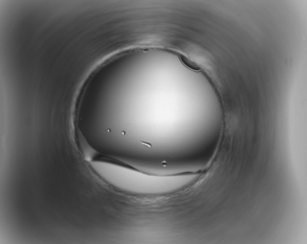 X0000089751288200707051808