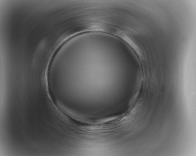 X0000089751291200707051808