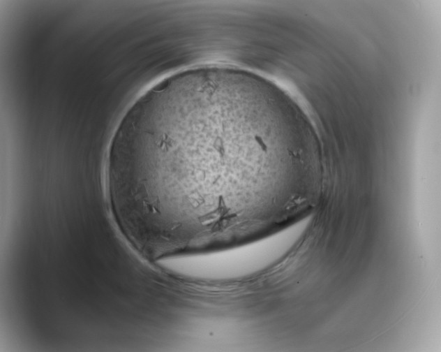 X0000089751295200707051808