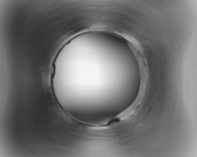 X0000089751296200707051808