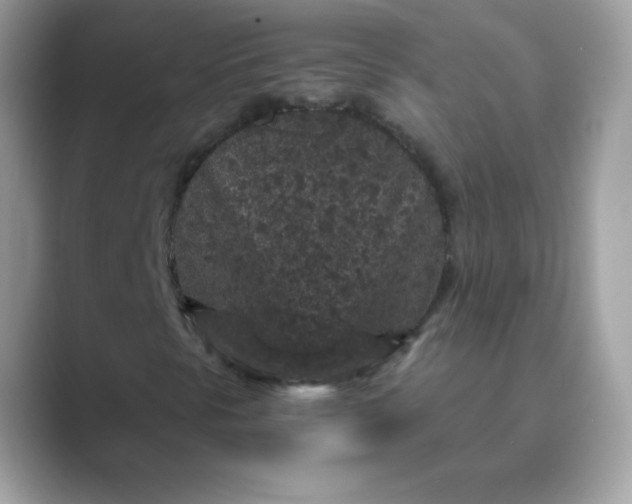 X0000089751297200707051808