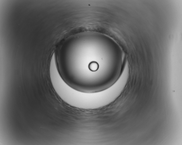 X0000089751298200707051808