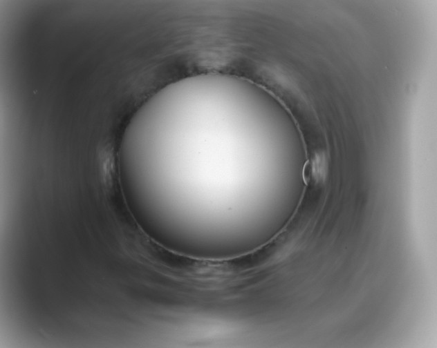 X0000089751299200707051808