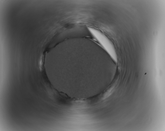 X0000089751300200707051808