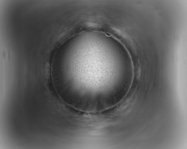 X0000089751301200707051808