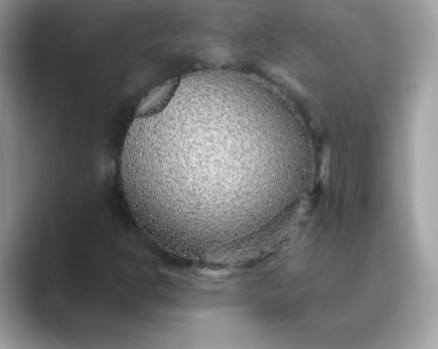 X0000089751302200707051808