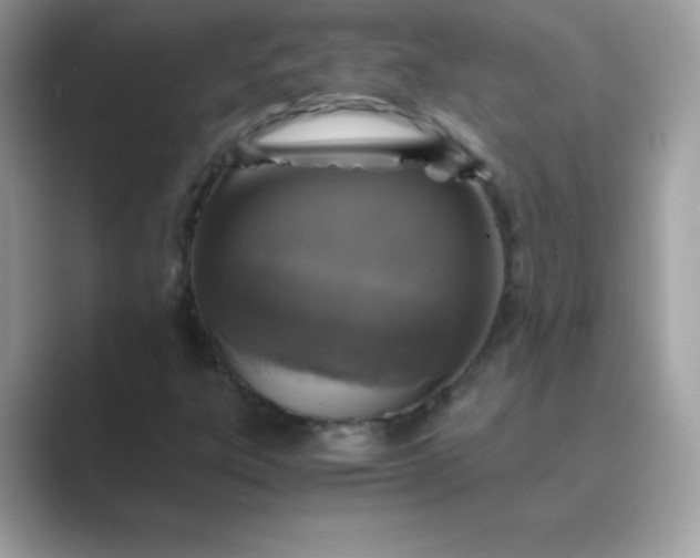 X0000089751303200707051808