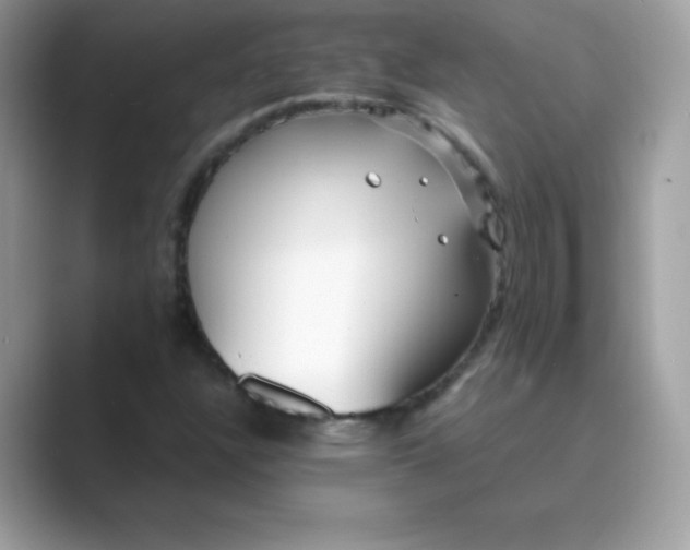 X0000089751304200707051808